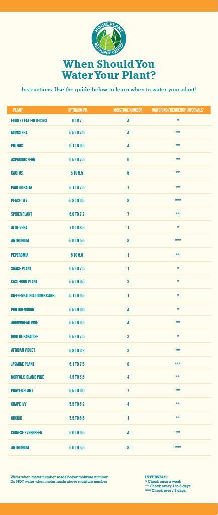 moisture meter chart for alocasia|watering alocasia.